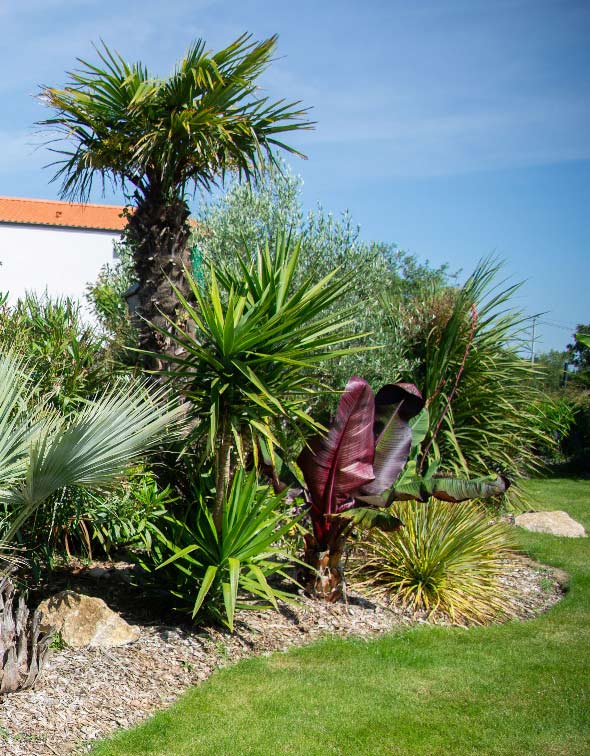 Aménagement extérieur - paysagiste St Mars de Coutais - ADJ Espaces Verts