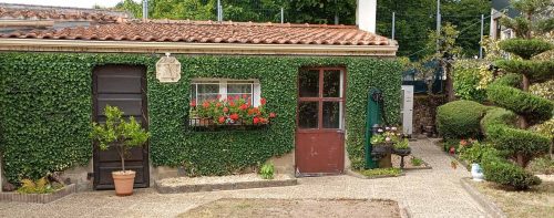 Entretien végétaux vertou maison paysagiste ADJ Espaces Verts