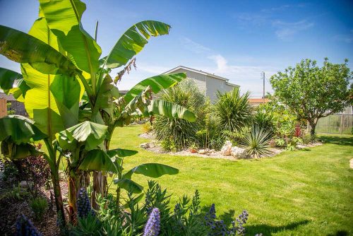 paysagiste ADJ Espaces Verts 44680 st sebastien sur loire