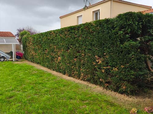 Paysagiste Bouaye taille haie adj espaces verts après