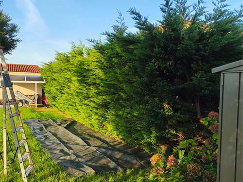 Paysagiste Bouaye taille haie adj espaces verts avant