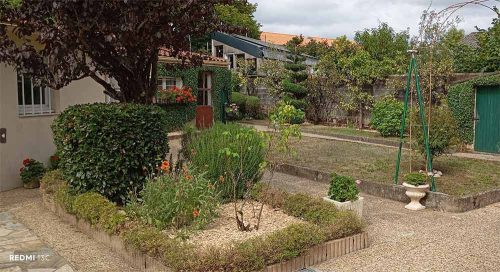 paysagiste vertou entretien espaces verts tonte taille arbustes, arbres