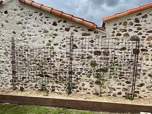 Structure pour grimpantes Bouaye Paysagiste ADJ Espaces Verts après