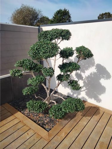 Taille de soin paysagiste Pont St Martin - la Chevrollière ADJ Espaces Verts